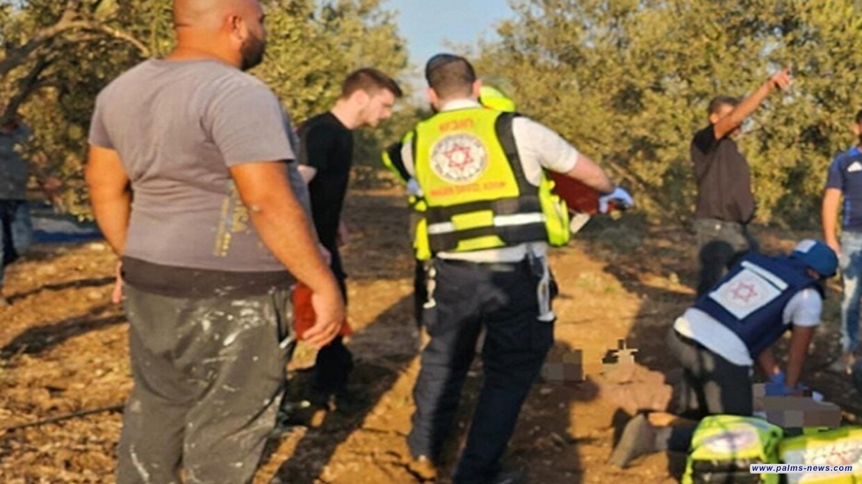 مقتل شخصين وإصابة آخرين شمال إسرائيل إثر رشقة صاروخية أطلقها "حزب الله"